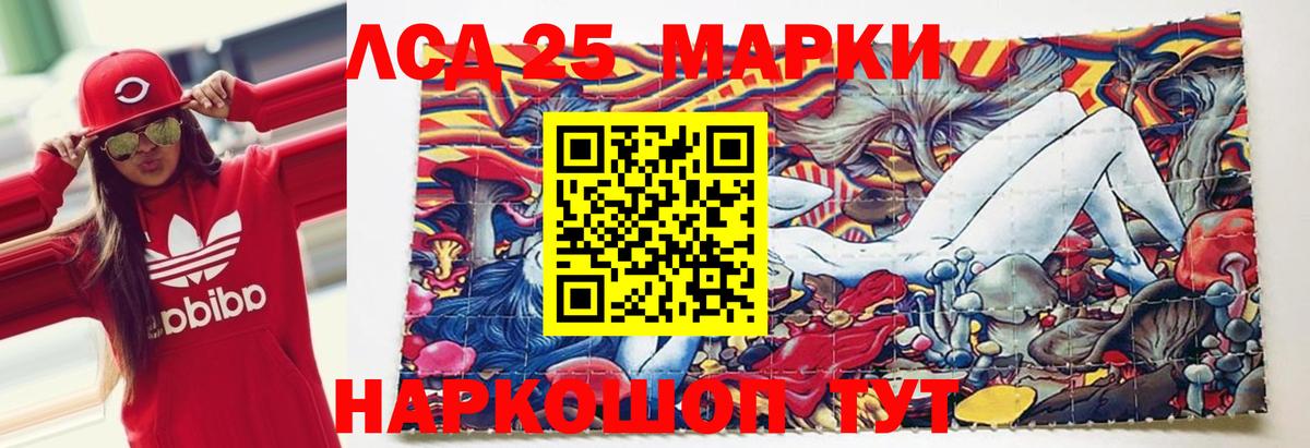 Кропоткин  LSD-25 экстази кислота  Вход с VPN 