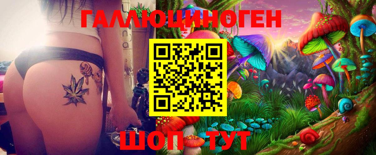 Кропоткин  где купить наркоту  Вход с VPN  Псилоцибиновые грибы MAGIC MUSHROOMS 