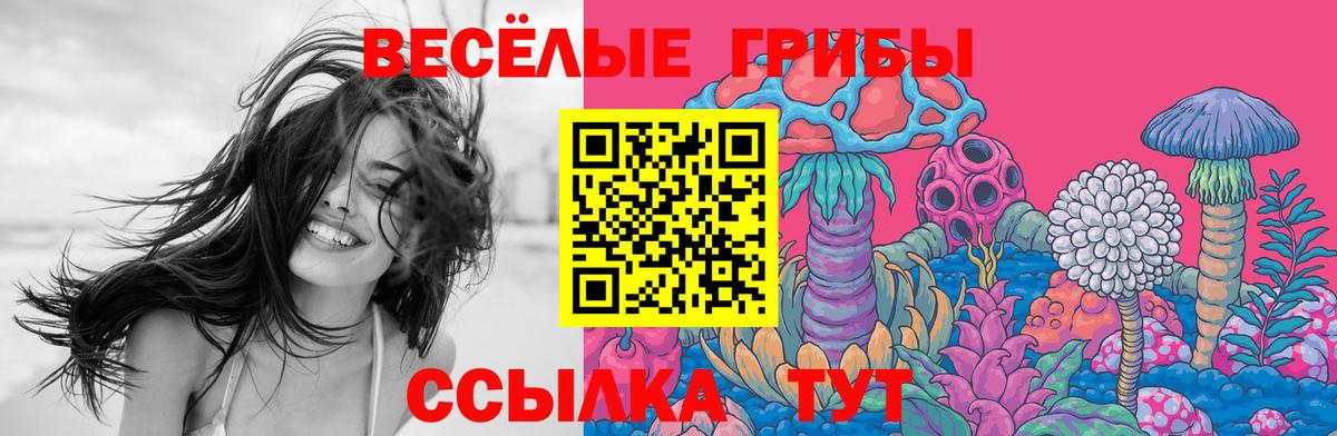 Галлюциногенные грибы мицелий Кропоткин